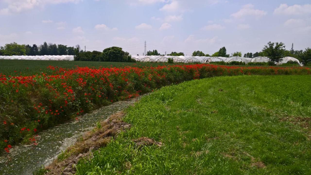 Agriturismo Cipolli E Podo Corte Carlini Mantova Eksteriør bilde