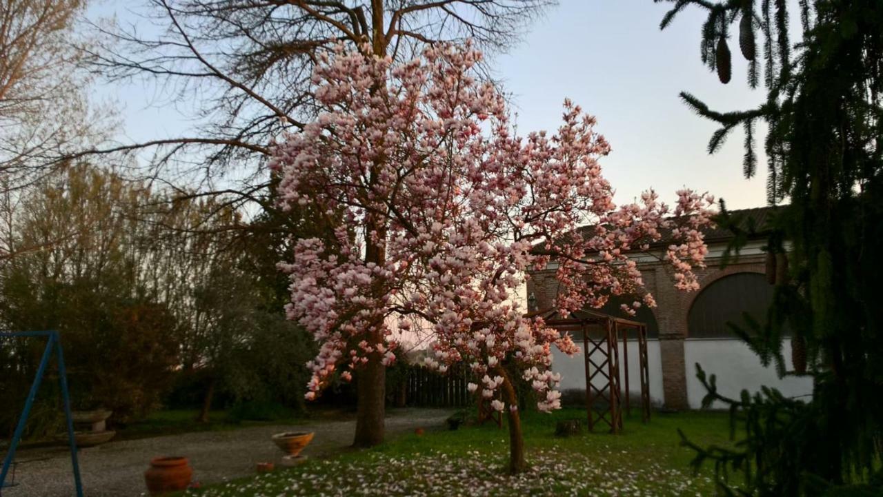 Agriturismo Cipolli E Podo Corte Carlini Mantova Eksteriør bilde