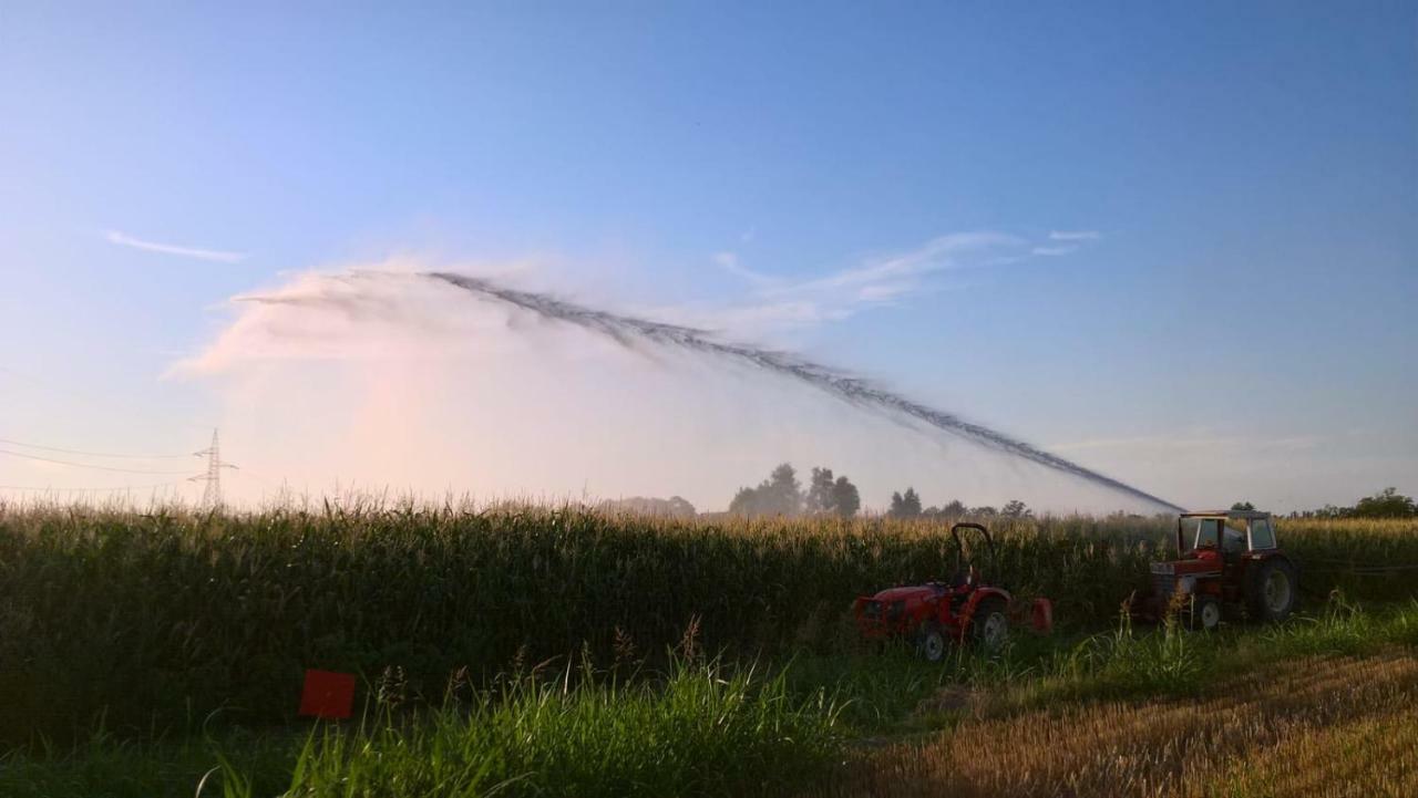 Agriturismo Cipolli E Podo Corte Carlini Mantova Eksteriør bilde