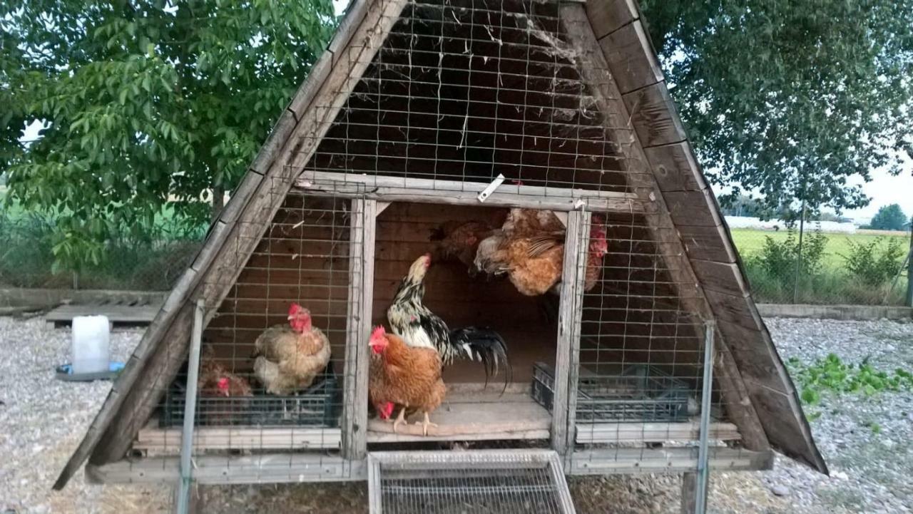 Agriturismo Cipolli E Podo Corte Carlini Mantova Eksteriør bilde